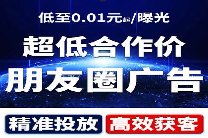 某公司信息流广告的精准投放与效果评估